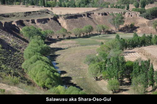 Salawusu